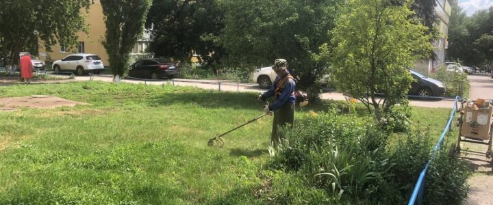 Приведение в порядок двора
