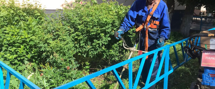 Благоустройство территории по адресу Достоевского, 137