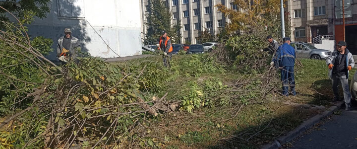 Уборка упавших деревьев на Революционной 92/3
